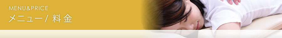 メニュー /  料 金